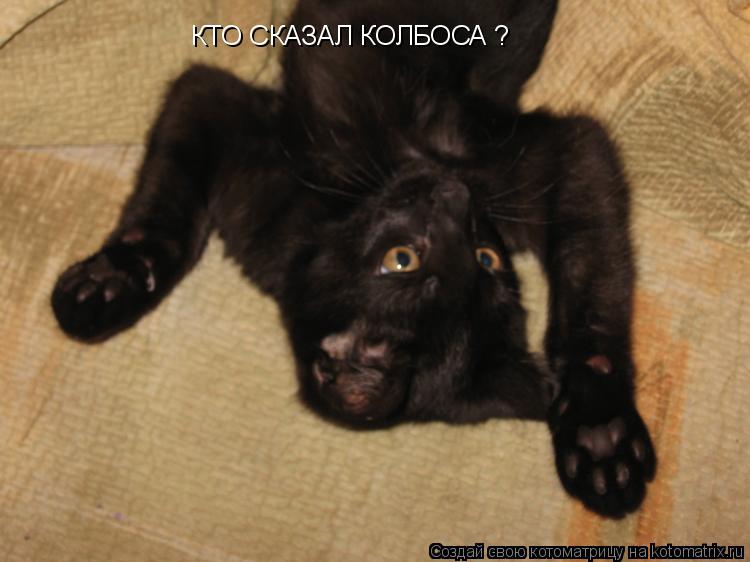 Котоматрица: КТО СКАЗАЛ КОЛБОСА ?