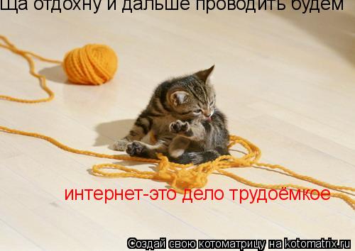 Ща отдохну и дальше проводить будем интернет-это дело трудоёмкое... Котоматрица: Ща отдохну и дальше проводить будем интернет-это дело трудоёмкое
