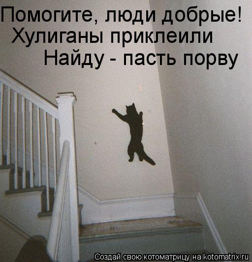 Помогите, люди добрые! Хулиганы приклеили Найду - пасть порву... Котоматрица: Помогите, люди добрые! Хулиганы приклеили Найду - пасть порву