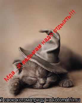 Мда...И ведьмам надо отдыхть!!!... Котоматрица: Мда...И ведьмам надо отдыхть!!!