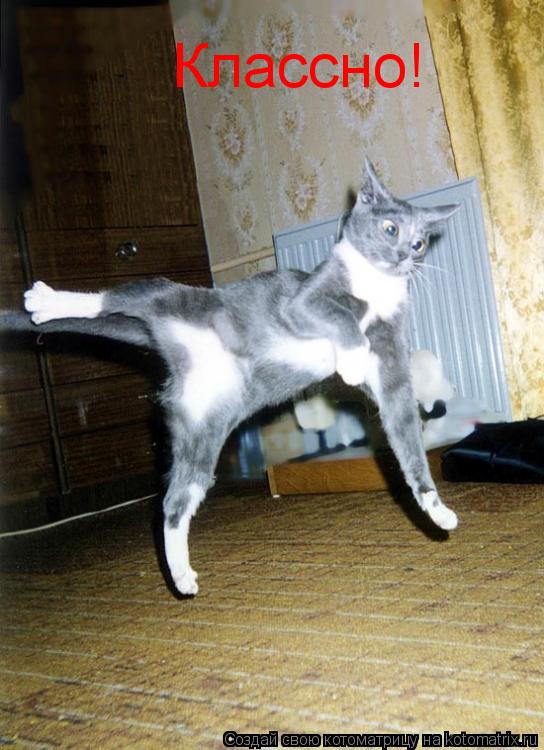 Классно!... Котоматрица: Классно!