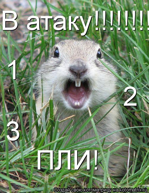 В атаку!!!!!!!!!!!!!!!!!!!!!!!!!!!!! 1 2 3 ПЛИ!... Котоматрица: В атаку!!!!!!!!!!!!!!!!!!!!!!!!!!!!! 1 2 3 ПЛИ!