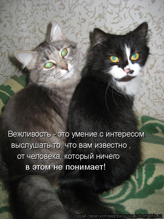 Вежливость - это умение с интересом выслушать то, что вам известно , от человека, который ничего в... Котоматрица: Вежливость - это умение с интересом выслушать то, что вам известно , от человека, который ничего в этом не понимает!