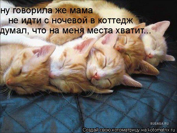 Котоматрица: ну говорила же мама не идти с ночевой в коттедж думал, что на меня места хватит...