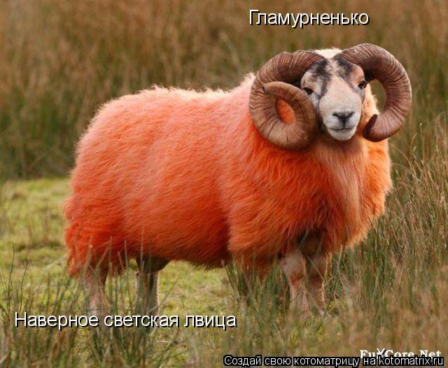 Гламурненько Наверное светская лвица... Котоматрица: Гламурненько Наверное светская лвица