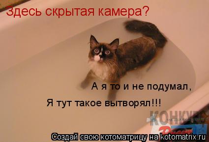 Здесь скрытая камера? А я то и не подумал, Я тут такое вытворял!!!... Котоматрица: Здесь скрытая камера? А я то и не подумал, Я тут такое вытворял!!!