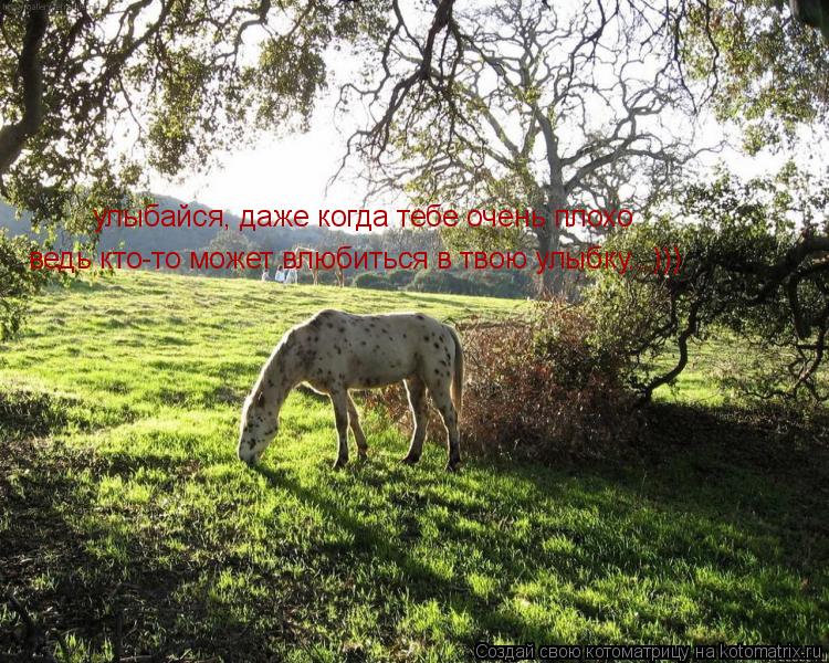 улыбайся, даже когда тебе очень плохо ведь кто-то может влюбиться в твою улыбку...)))... Котоматрица: улыбайся, даже когда тебе очень плохо ведь кто-то может влюбиться в твою улыбку...)))