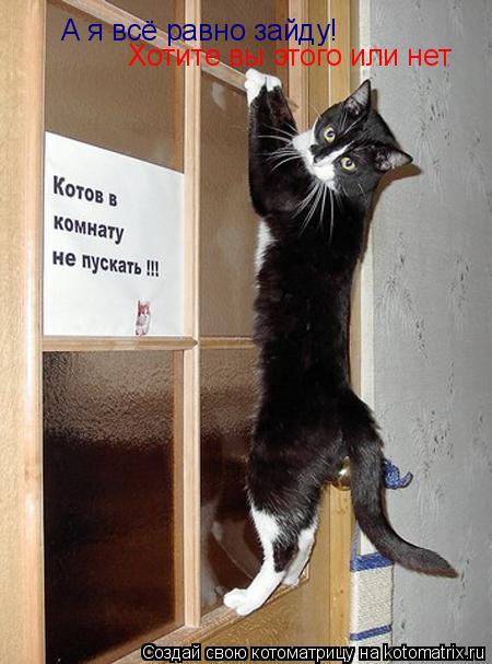 А я всё равно зайду! Хотите вы этого или нет... Котоматрица: А я всё равно зайду! Хотите вы этого или нет
