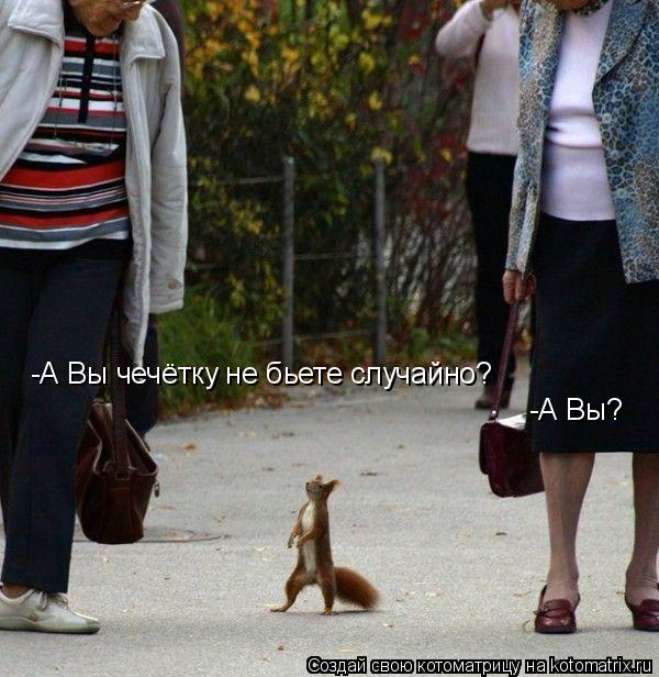 -А Вы чечётку не бьете случайно? -А Вы?... Котоматрица: -А Вы чечётку не бьете случайно? -А Вы?