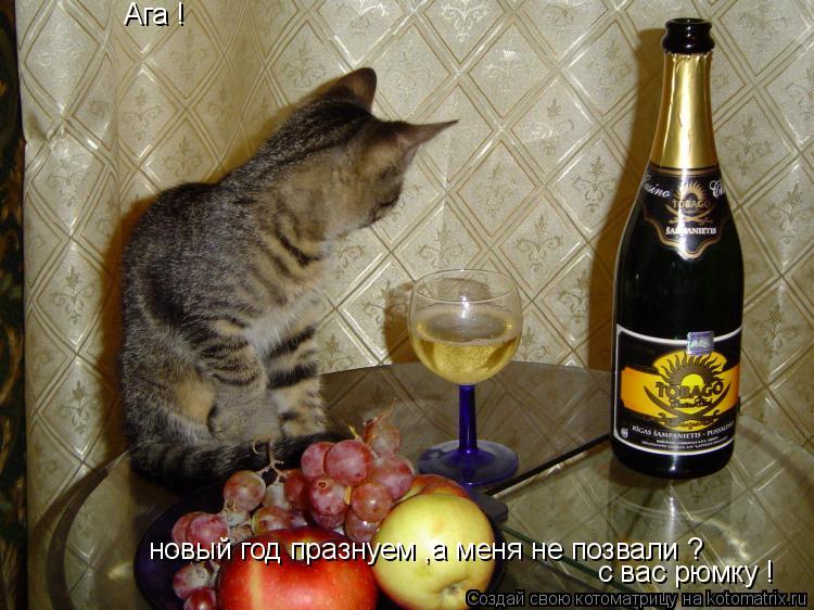 Ага ! новый год празнуем ,а меня не позвали ? с вас рюмку !... Котоматрица: Ага ! новый год празнуем ,а меня не позвали ? с вас рюмку !