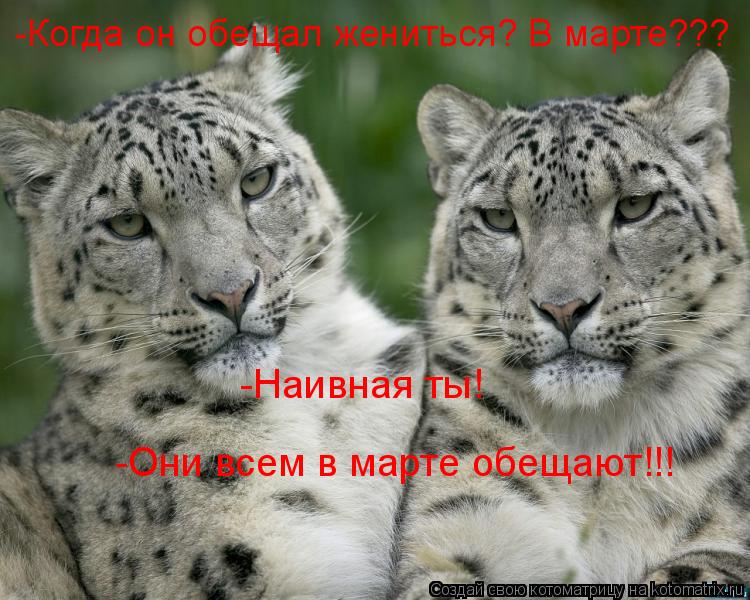 Котоматрица: -Когда он обещал жениться? В марте??? -Наивная ты!  -Они всем в марте обещают!!!