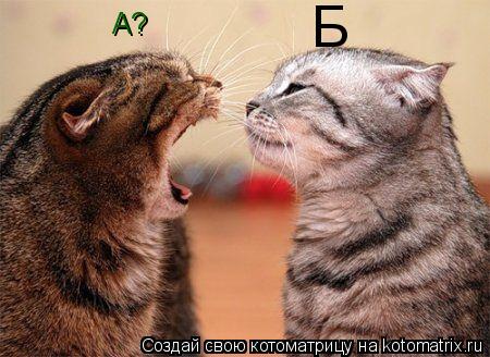 А? Б... Котоматрица: А? Б