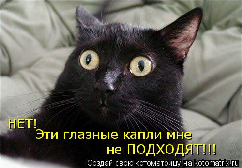 НЕТ! Эти глазные капли мне не ПОДХОДЯТ!!!... Котоматрица: НЕТ! Эти глазные капли мне не ПОДХОДЯТ!!!