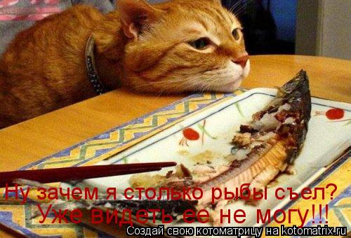 Ну зачем я столько рыбы съел? Уже видеть ее не могу!!!... Котоматрица: Ну зачем я столько рыбы съел? Уже видеть ее не могу!!!