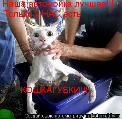 Котоматрица: Наша автомойка лучшая!!! Только у нас есть кошкагубки!! Наша автомойка лучшая!!!  Только у НАС есть КОШКАГУБКИ!!!!