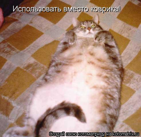 Котоматрица: Использовать вместо коврика!