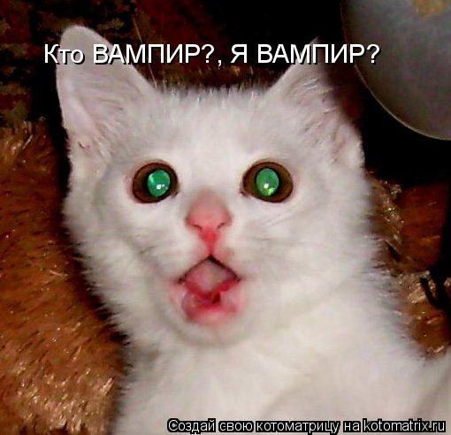 Кто ВАМПИР?, Я ВАМПИР?... Котоматрица: Кто ВАМПИР?, Я ВАМПИР?