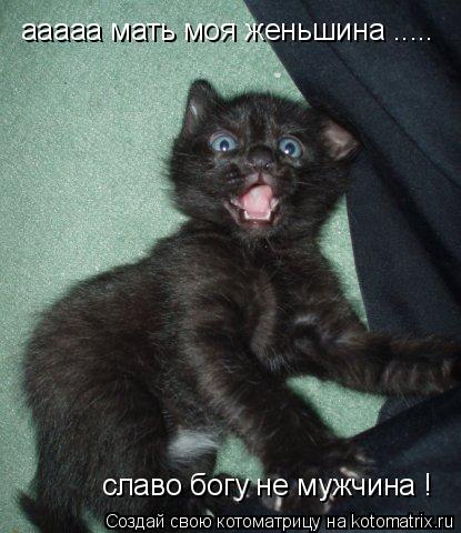 Котоматрица: ааааа мать моя женьшина ..... славо богу не мужчина !