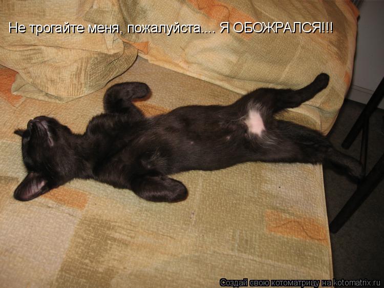 Не трогайте меня, пожалуйста.... Я ОБОЖРАЛСЯ!!!... Котоматрица: Не трогайте меня, пожалуйста.... Я ОБОЖРАЛСЯ!!!