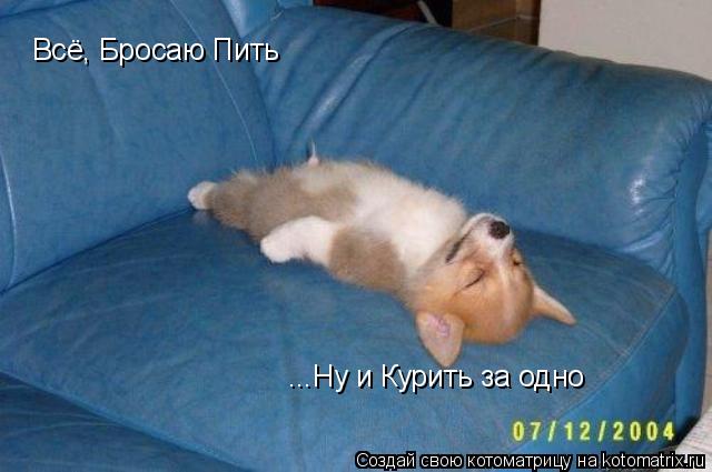 Котоматрица: Всё, Бросаю Пить ...Ну и Курить за одно