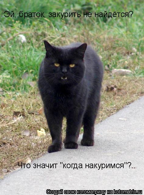 Эй, браток, закурить не найдётся? Что значит "когда накуримся"?..... Котоматрица: Эй, браток, закурить не найдётся? Что значит "когда накуримся"?..