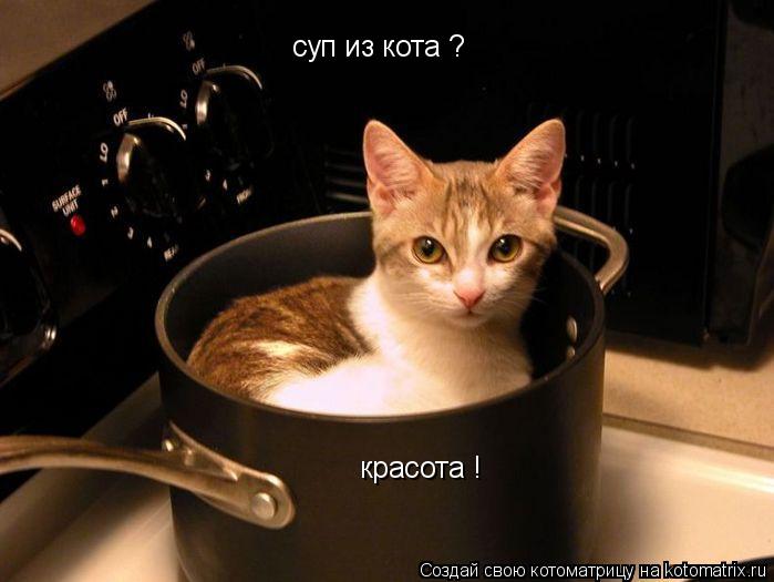 Котоматрица: суп из кота ? красота !