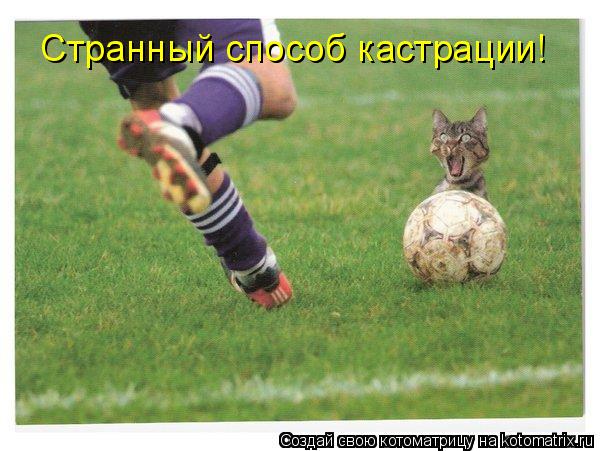 Котоматрица: Странный способ кастрации!