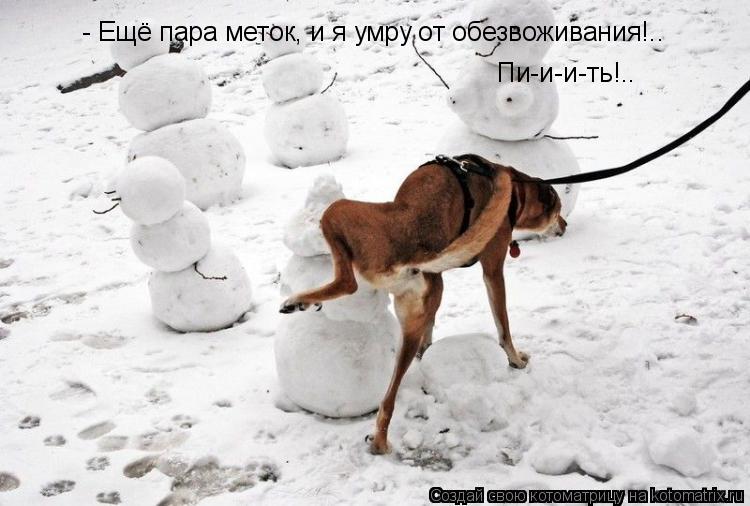 - Ещё пара меток, и я умру от обезвоживания!.. Пи-и-и-ть!..... Котоматрица: - Ещё пара меток, и я умру от обезвоживания!.. Пи-и-и-ть!..