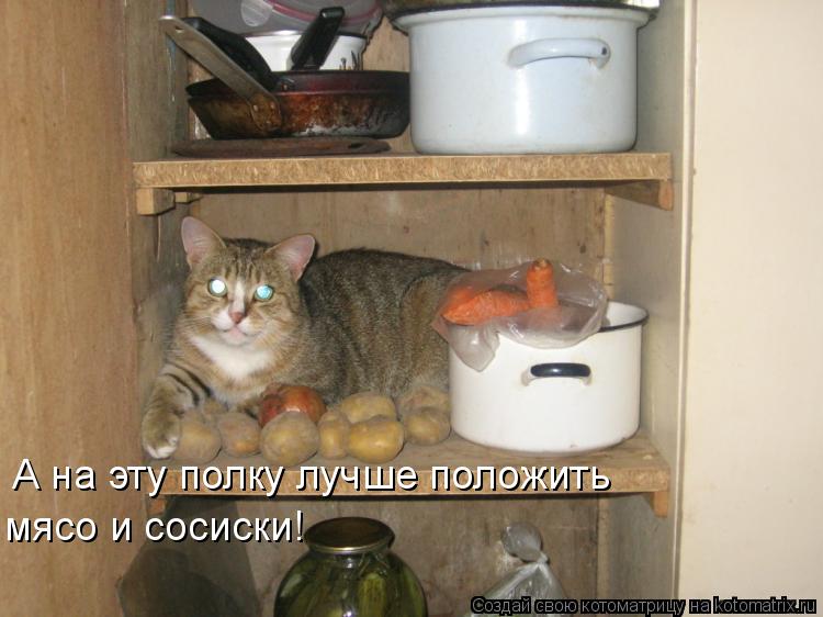 Котоматрица: А на эту полку лучше положить мясо и сосиски!