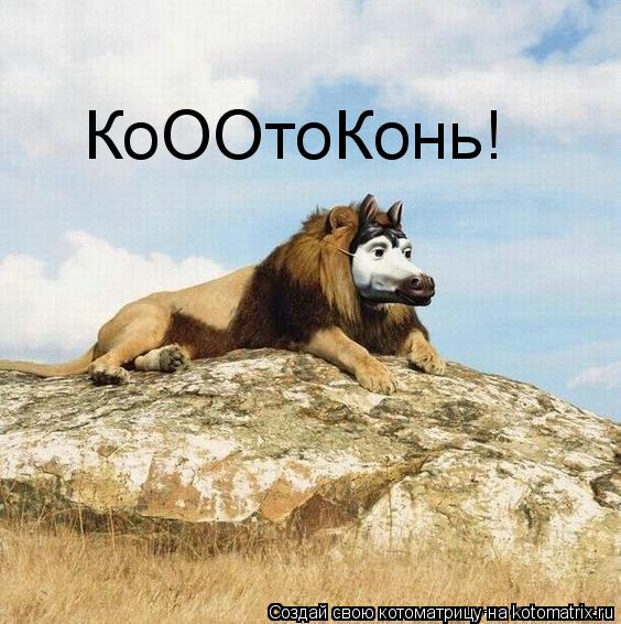 КоООтоКонь!... Котоматрица: КоООтоКонь!