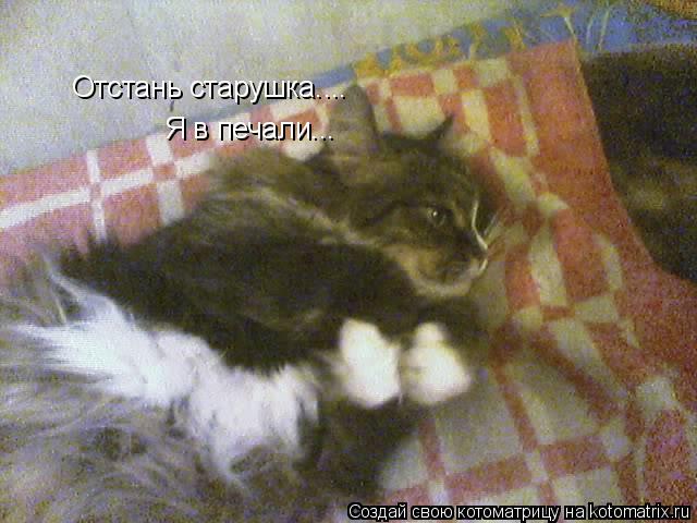 Отстань старушка.... Я в печали...... Котоматрица: Отстань старушка.... Я в печали...