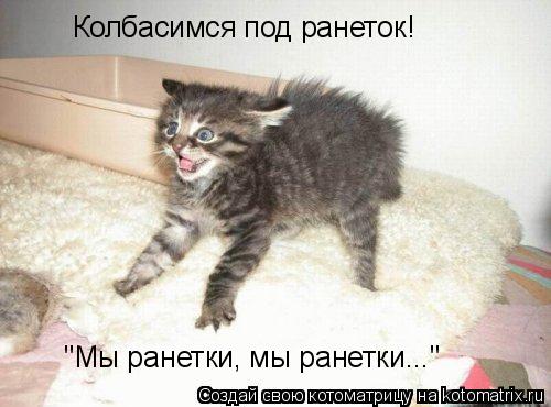 Колбасимся под ранеток! "Мы ранетки, мы ранетки..."... Котоматрица: Колбасимся под ранеток! "Мы ранетки, мы ранетки..."