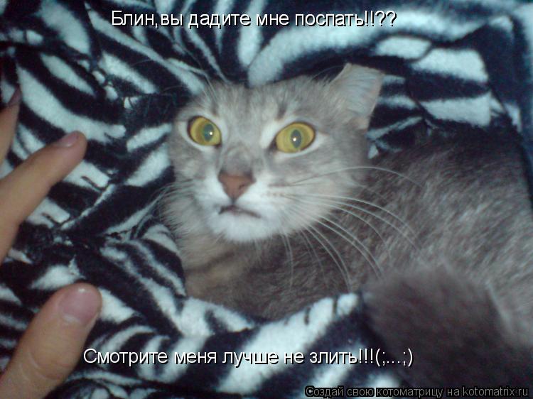 Блин,вы дадите мне поспать!!?? Смотрите меня лучше не злить!!!(;...;) Блин,вы дадите мне поспать!!??... Котоматрица: Блин,вы дадите мне поспать!!?? Смотрите меня лучше не злить!!!(;...;) Блин,вы дадите мне поспать!!??