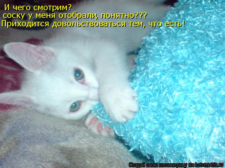 И чего смотрим? соску у меня отобрали , понятно??? Приходится довольствоваться тем, что есть!... Котоматрица: И чего смотрим? соску у меня отобрали , понятно??? Приходится довольствоваться тем, что есть!