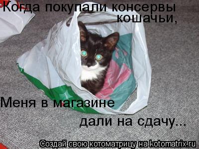 Когда покупали консервы кошачьи, Меня в магазине дали на сдачу...... Котоматрица: Когда покупали консервы кошачьи, Меня в магазине дали на сдачу...