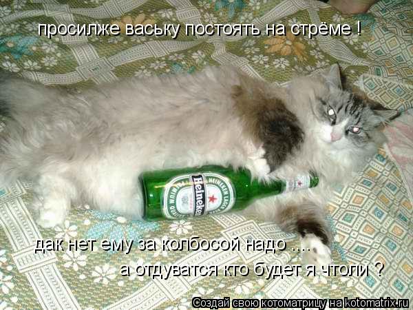 просилже ваську постоять на стрёме ! дак нет ему за колбосой надо .... а отдуватся кто будет я чтоли ... Котоматрица: просилже ваську постоять на стрёме ! дак нет ему за колбосой надо .... а отдуватся кто будет я чтоли ?