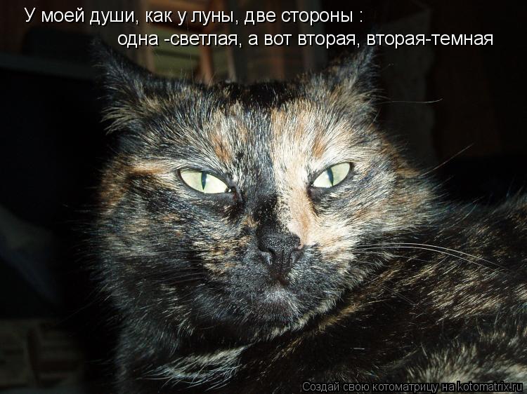 одна -светлая, а вот вторая, вторая-темная У моей души, как у луны, две стороны :... Котоматрица: одна -светлая, а вот вторая, вторая-темная У моей души, как у луны, две стороны :