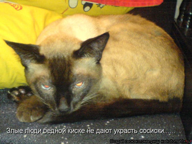 Злые люди бедной киске не дают украсть сосиски......... Котоматрица: Злые люди бедной киске не дают украсть сосиски......