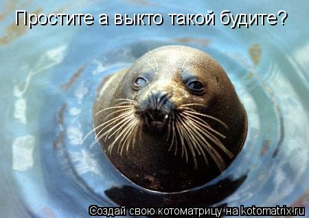Простите а выкто такой будите?... Котоматрица: Простите а выкто такой будите?