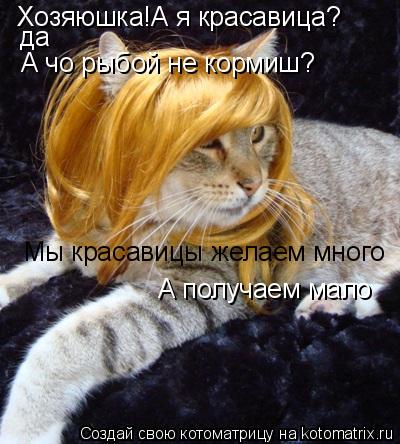Хозяюшка!А я красавица? да А чо рыбой не кормиш? Мы красавицы желаем много А получаем мало... Котоматрица: Хозяюшка!А я красавица? да А чо рыбой не кормиш? Мы красавицы желаем много А получаем мало
