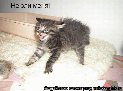 Не зли меня!... Котоматрица: Не зли меня!