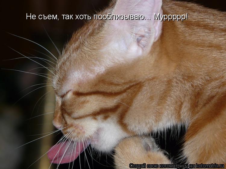 Котоматрица: Не съем, так хоть пооблизываю... Муррррр!