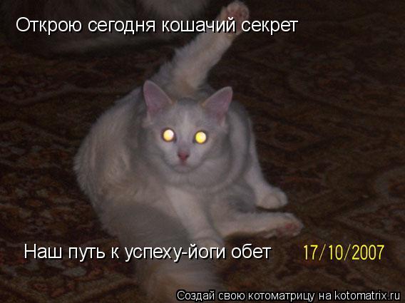 Открою сегодня кошачий секрет Наш путь к успеху-йоги обет... Котоматрица: Открою сегодня кошачий секрет Наш путь к успеху-йоги обет