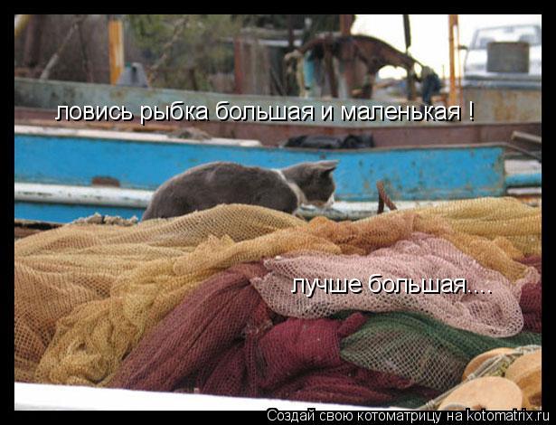 Котоматрица: ловись рыбка большая и маленькая ! лучше большая....