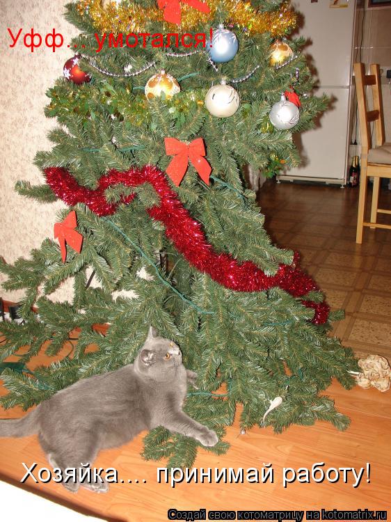 Уфф... умотался! Хозяйка.... принимай работу!... Котоматрица: Уфф... умотался! Хозяйка.... принимай работу!