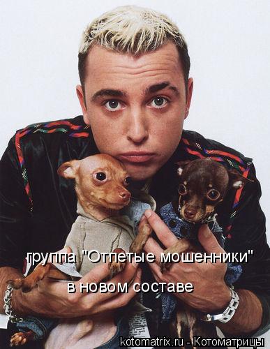 группа "Отпетые мошенники" в новом составе... Котоматрица: группа "Отпетые мошенники" в новом составе