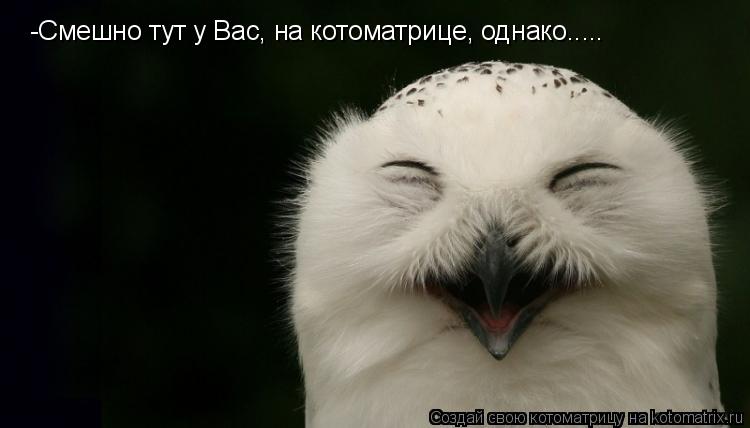 -Смешно тут у Вас, на котоматрице, однако........ Котоматрица: -Смешно тут у Вас, на котоматрице, однако.....