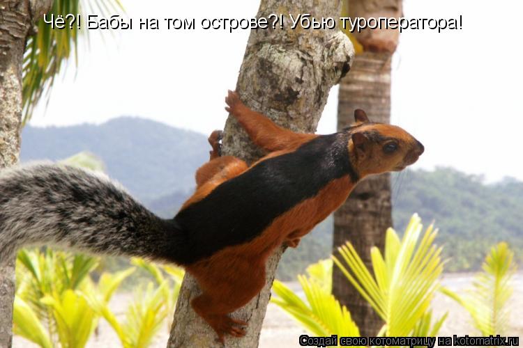 Чё?! Бабы на том острове?! Убью туроператора!... Котоматрица: Чё?! Бабы на том острове?! Убью туроператора!