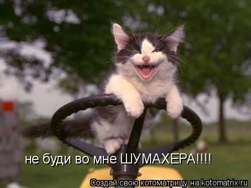 не буди во мне ШУМАХЕРА!!!!... Котоматрица: не буди во мне ШУМАХЕРА!!!!