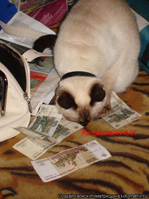 Какая мелочь!!!... Котоматрица: Какая мелочь!!!